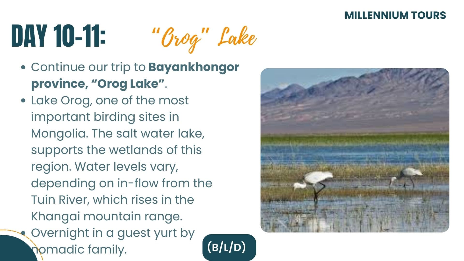 Central Mongolia Highlights - Day 10