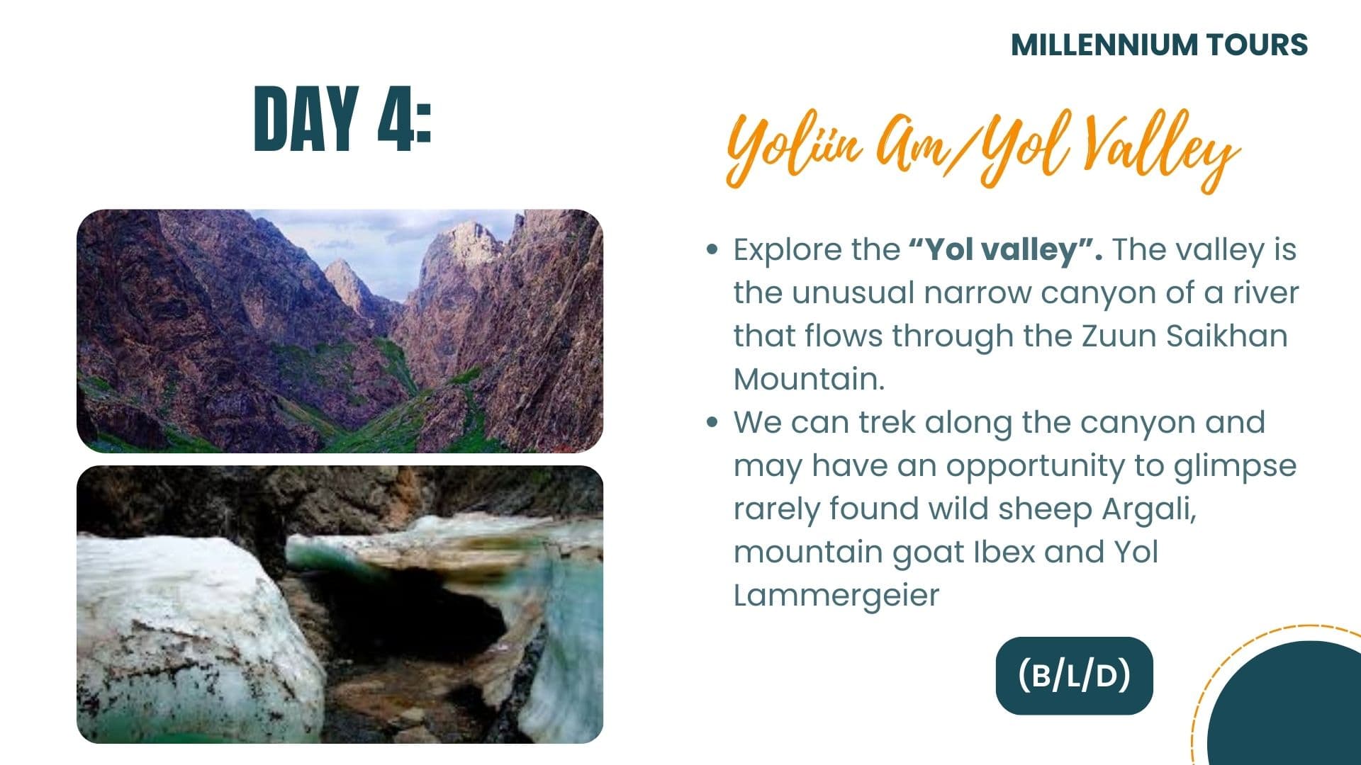 In the footsteps of dinosaurs - Day 4