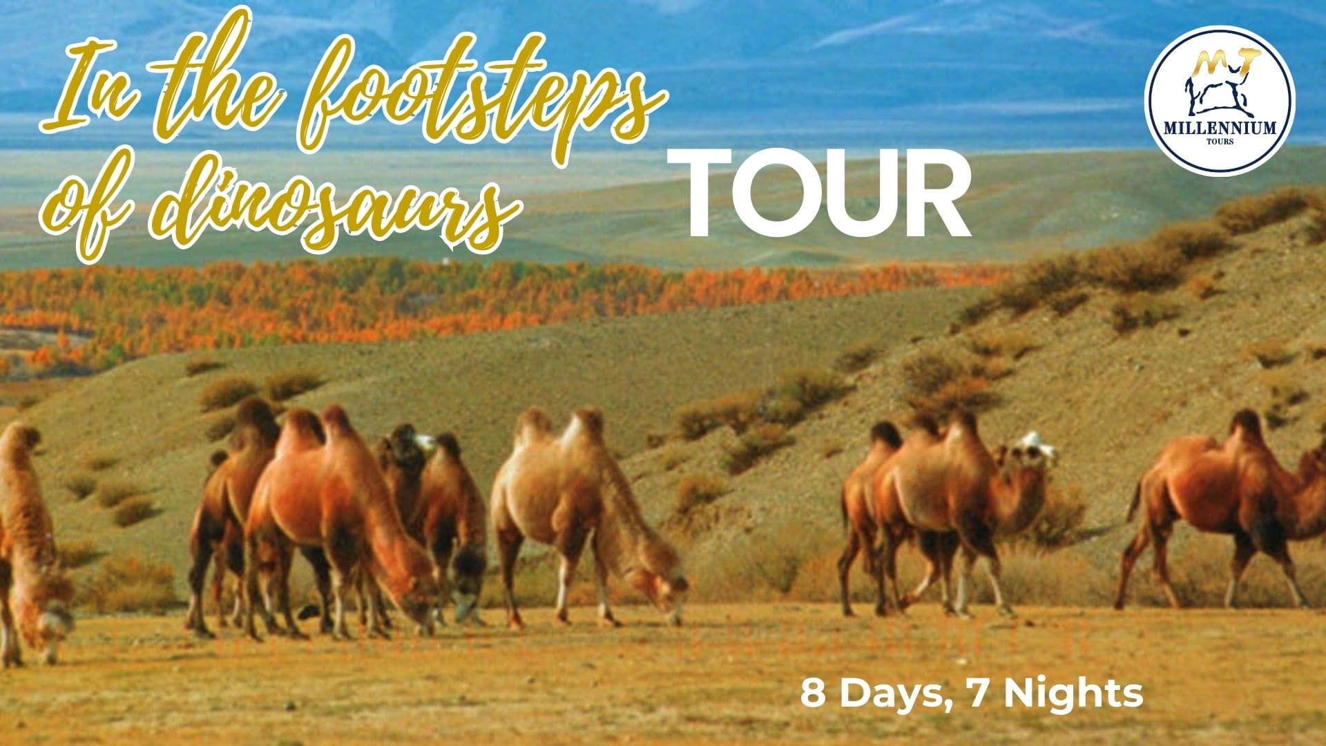 In the footsteps of dinosaurs