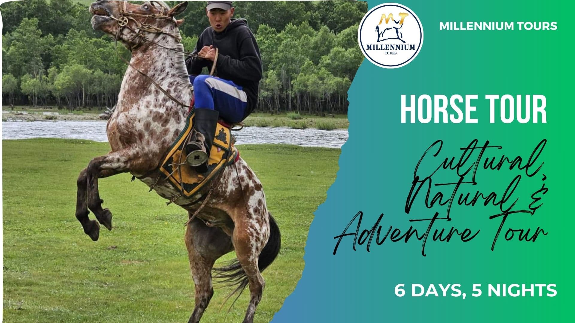 Horseback Riding Experience