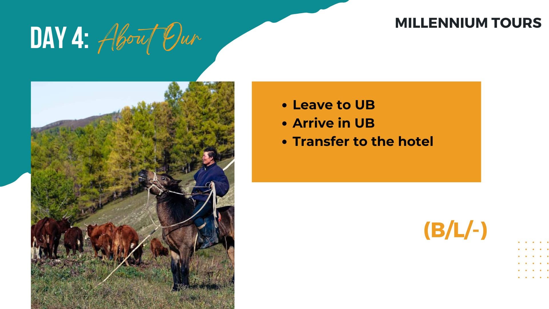 Wildlife Volunteer Ranger - Day 7